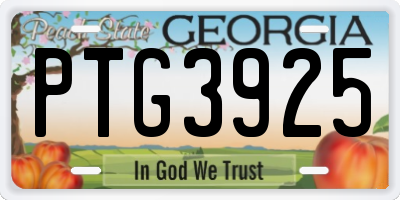 GA license plate PTG3925