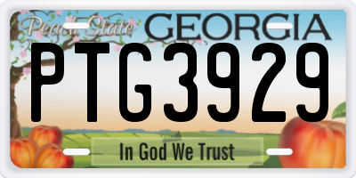 GA license plate PTG3929