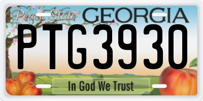 GA license plate PTG3930