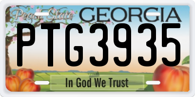 GA license plate PTG3935