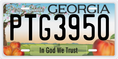 GA license plate PTG3950