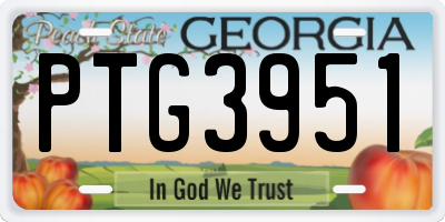 GA license plate PTG3951