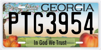 GA license plate PTG3954