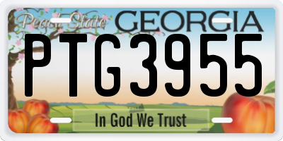 GA license plate PTG3955