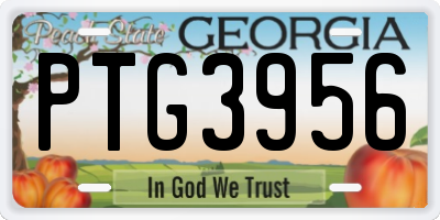 GA license plate PTG3956