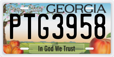 GA license plate PTG3958