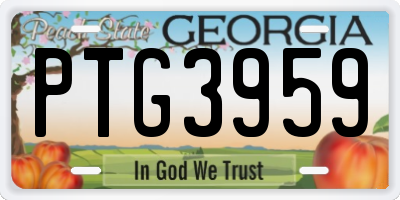 GA license plate PTG3959