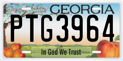 GA license plate PTG3964