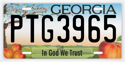 GA license plate PTG3965