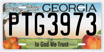 GA license plate PTG3973