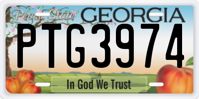 GA license plate PTG3974
