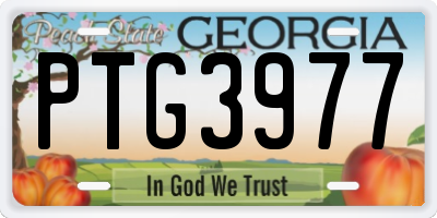 GA license plate PTG3977