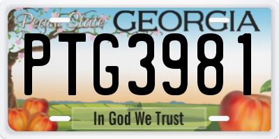 GA license plate PTG3981