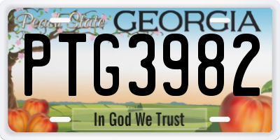 GA license plate PTG3982