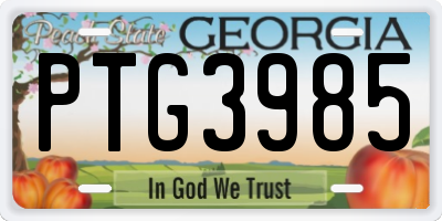 GA license plate PTG3985