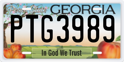 GA license plate PTG3989