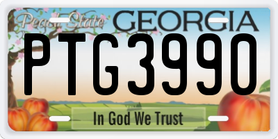 GA license plate PTG3990