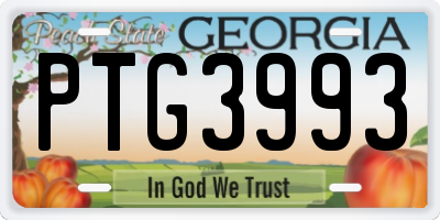 GA license plate PTG3993