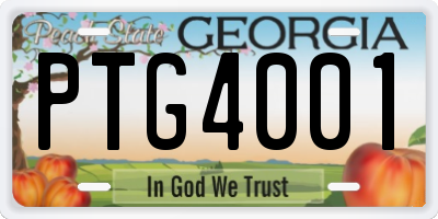 GA license plate PTG4001