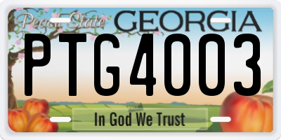 GA license plate PTG4003