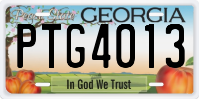 GA license plate PTG4013