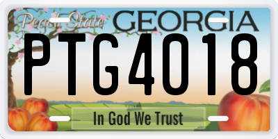 GA license plate PTG4018
