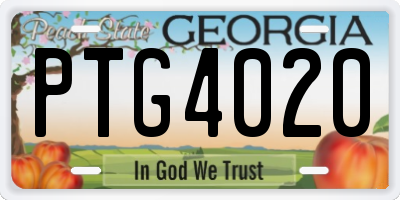 GA license plate PTG4020