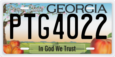 GA license plate PTG4022