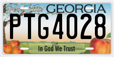 GA license plate PTG4028