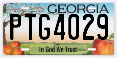 GA license plate PTG4029