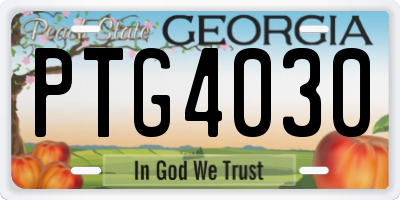 GA license plate PTG4030