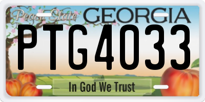 GA license plate PTG4033