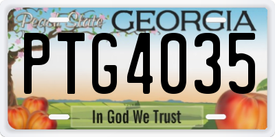 GA license plate PTG4035