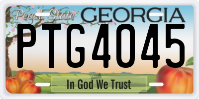 GA license plate PTG4045