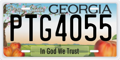 GA license plate PTG4055