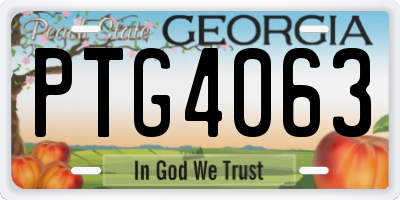 GA license plate PTG4063