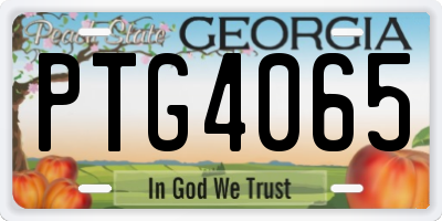 GA license plate PTG4065