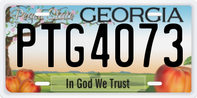 GA license plate PTG4073