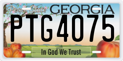 GA license plate PTG4075