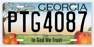 GA license plate PTG4087