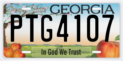 GA license plate PTG4107