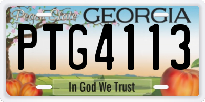 GA license plate PTG4113
