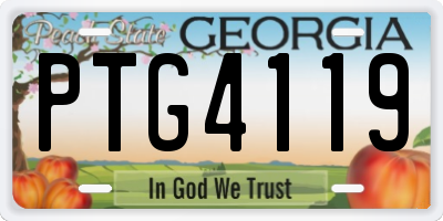 GA license plate PTG4119