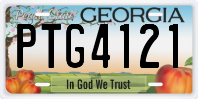 GA license plate PTG4121