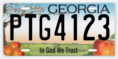 GA license plate PTG4123
