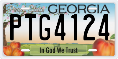 GA license plate PTG4124