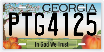 GA license plate PTG4125