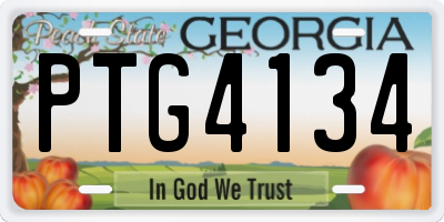 GA license plate PTG4134