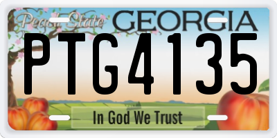 GA license plate PTG4135