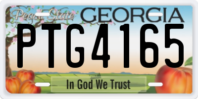 GA license plate PTG4165